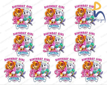 35+ Paw Patrol Skye And Everest Png Bundle- Paw Bundle Family Girl - High Quality Digital Download